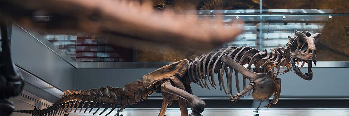 Museo di Storia Naturale