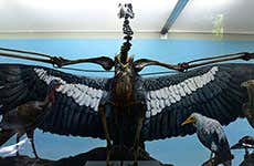 Guida di Los Angeles